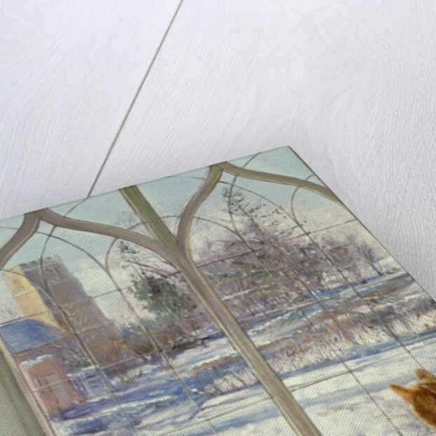 Snow Shadows and Cat by Timothy Easton