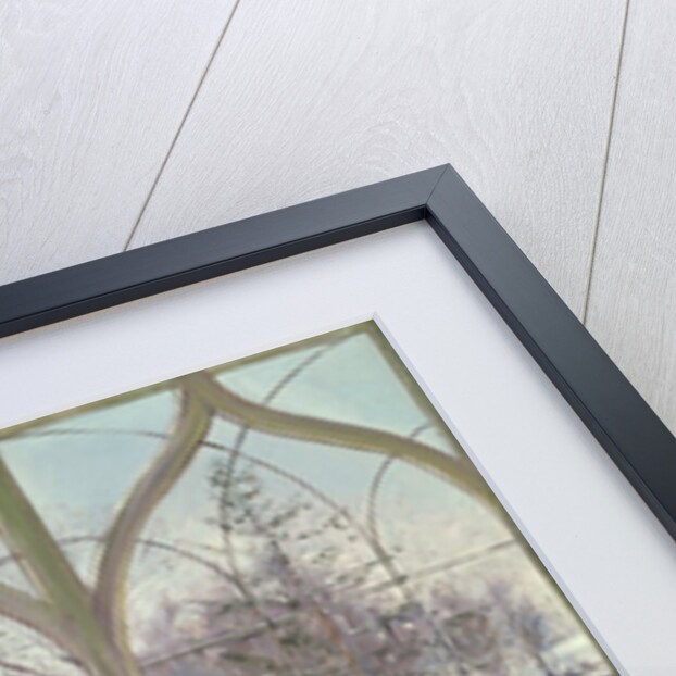 Snow Shadows and Cat by Timothy Easton