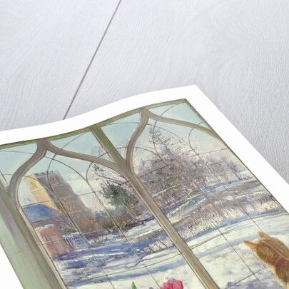 Snow Shadows and Cat by Timothy Easton