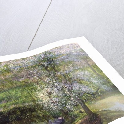 Flowering Apple Tree and Willow, 1991 by Timothy Easton