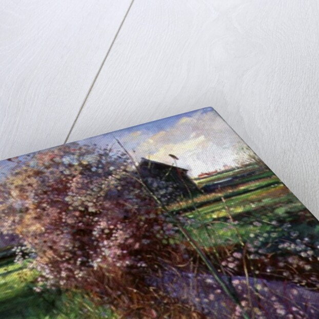 Bearded Bush by Timothy Easton