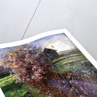 Bearded Bush by Timothy Easton