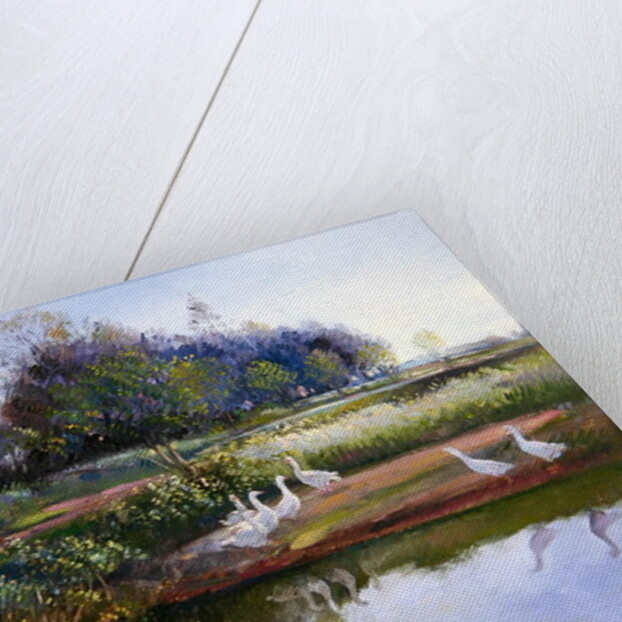 Geese at Sundown, 1991 by Timothy Easton