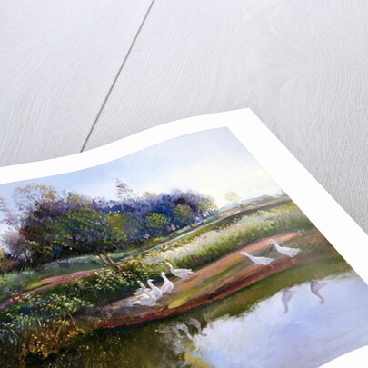 Geese at Sundown, 1991 by Timothy Easton