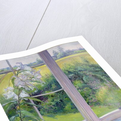 Window Seat and Lily, 1991 by Timothy Easton