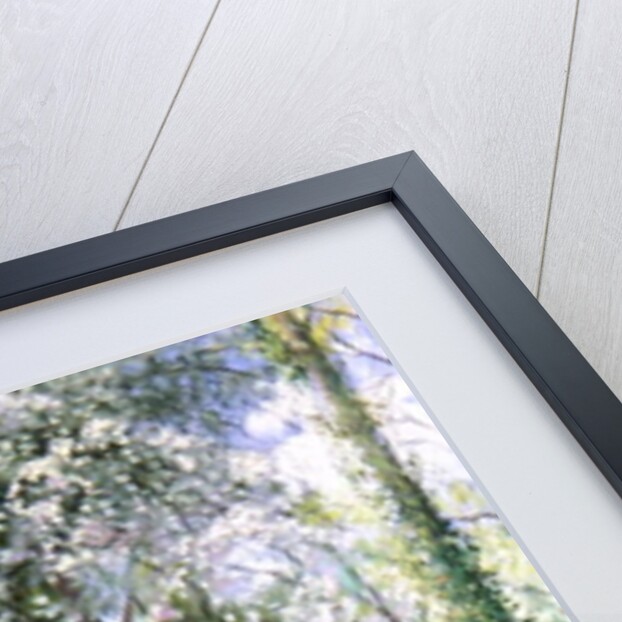 May Petals on the Moat Edge by Timothy Easton