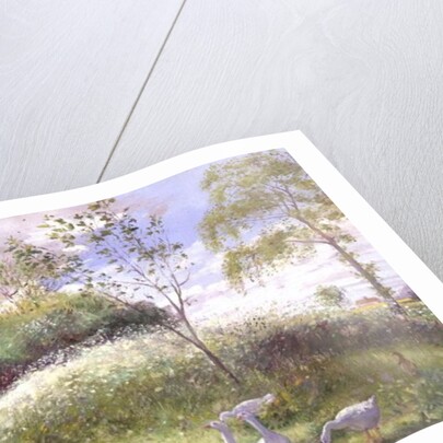 May Mount, 1991 by Timothy Easton