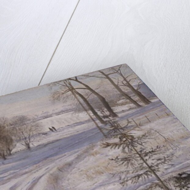 Moorhens Searching by Timothy Easton