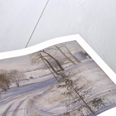 Moorhens Searching by Timothy Easton