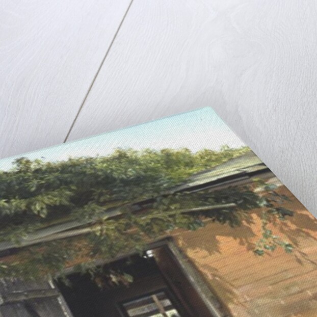 Stable Door by Timothy Easton