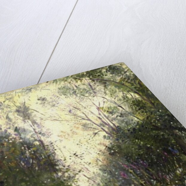 The Edge of the Wood by Timothy Easton