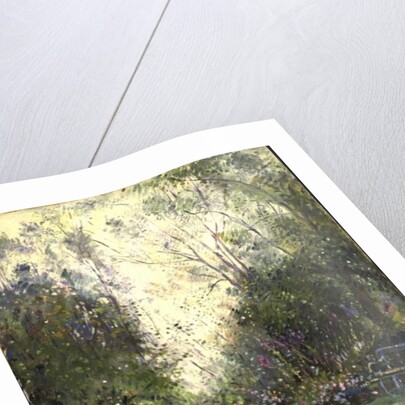 The Edge of the Wood by Timothy Easton