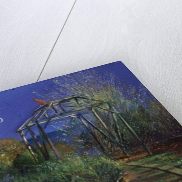 Night Revels by Timothy Easton