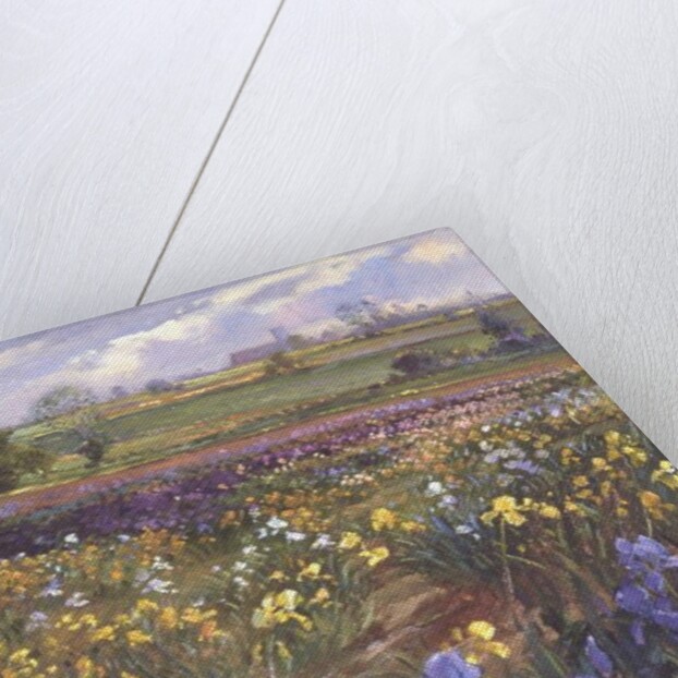 Towards Burgate Church by Timothy Easton