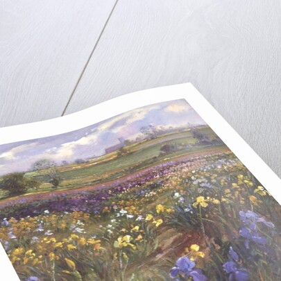 Towards Burgate Church by Timothy Easton