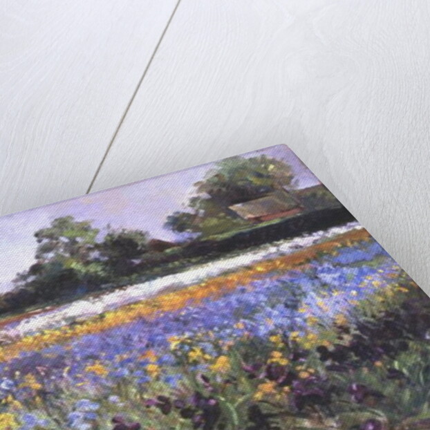 Iris Field and Two Cottages by Timothy Easton