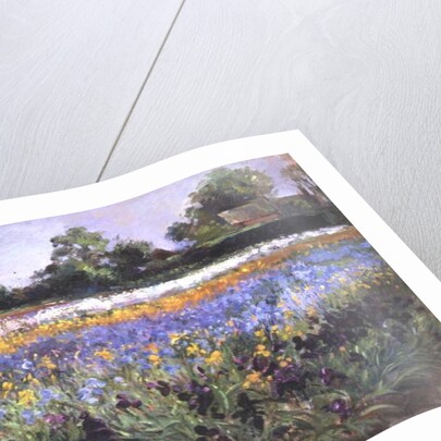 Iris Field and Two Cottages by Timothy Easton