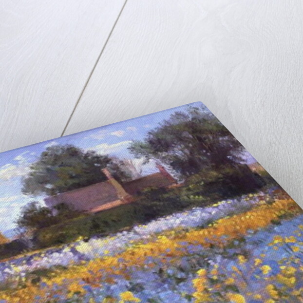 The Enclosed Cottages in the Iris Field by Timothy Easton