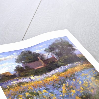 The Enclosed Cottages in the Iris Field by Timothy Easton