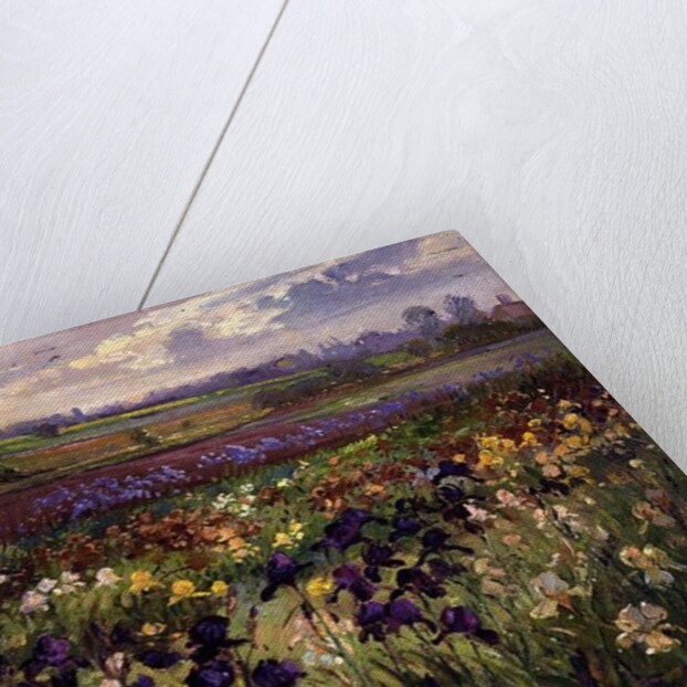 Across to Burgate by Timothy Easton