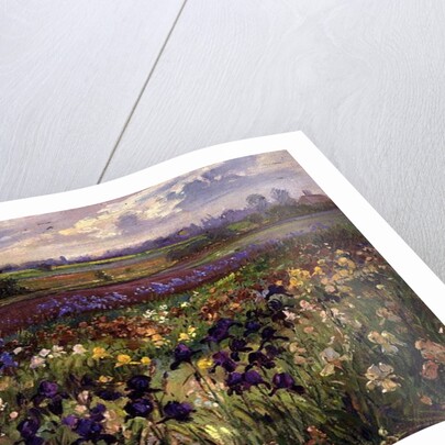 Across to Burgate by Timothy Easton