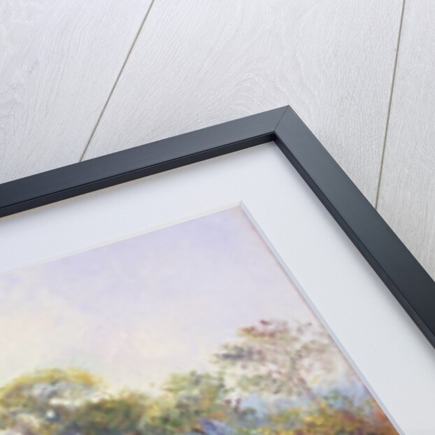 The Morning Letter by Timothy Easton