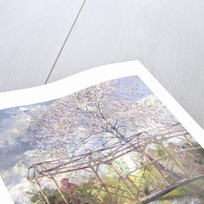 The Trellis Crossing by Timothy Easton