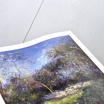 Apple Tree and Crescent Moon by Timothy Easton