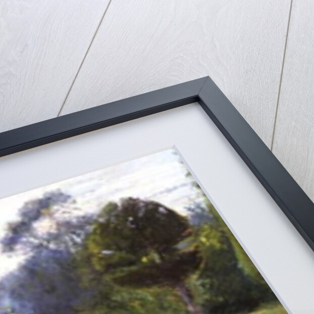 In the Garden - June by Timothy Easton