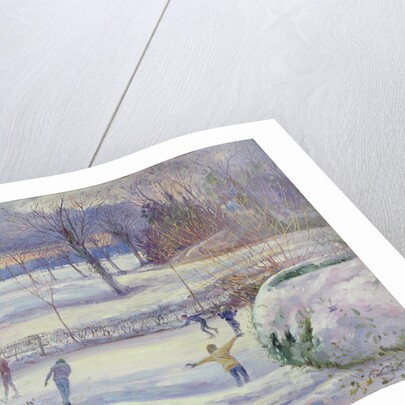 The Skating Day by Timothy Easton