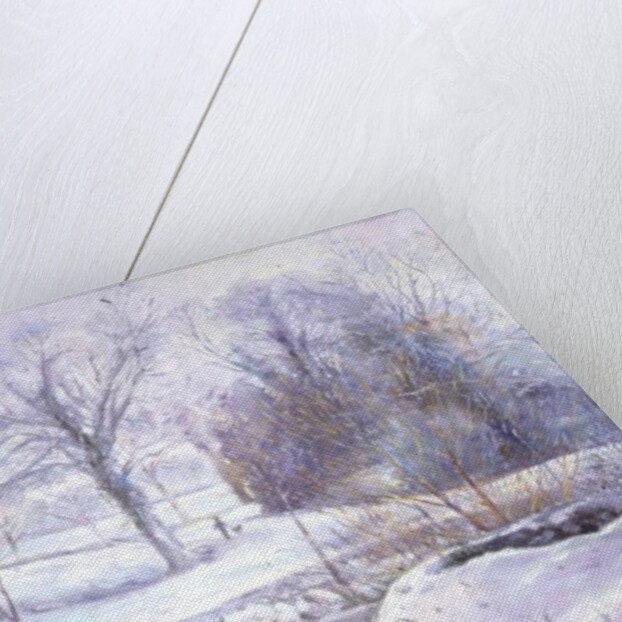 The Frozen Day by Timothy Easton