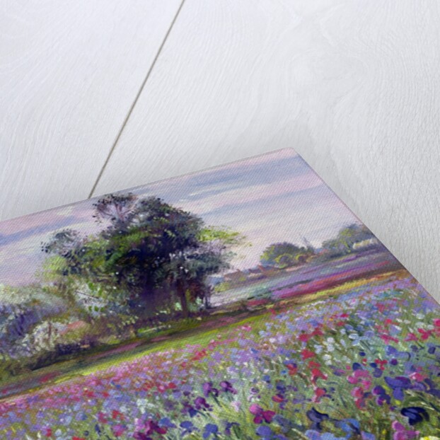 Irises and Distant May Tree, 1993 by Timothy Easton