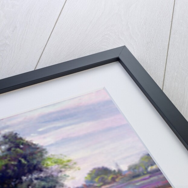 Irises and Distant May Tree, 1993 by Timothy Easton