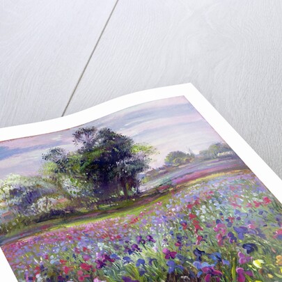 Irises and Distant May Tree, 1993 by Timothy Easton