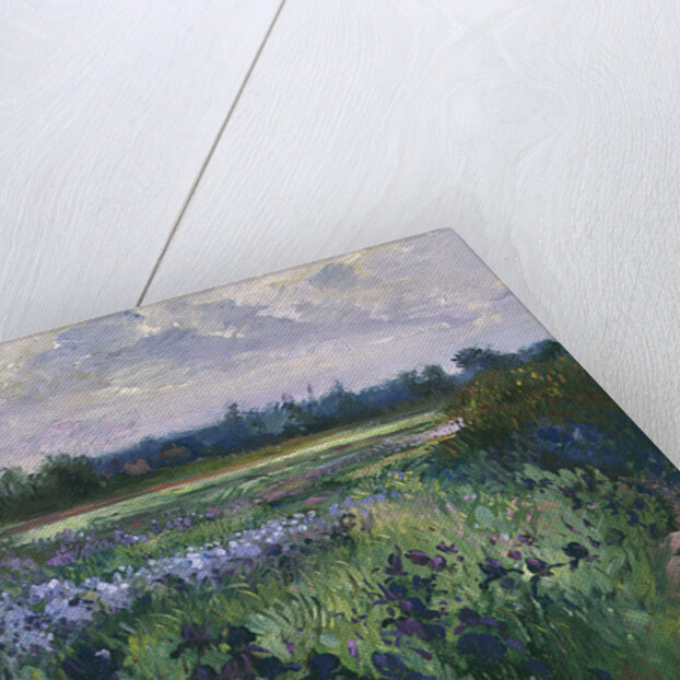 Across Great Green, Burgate, 1992 by Timothy Easton
