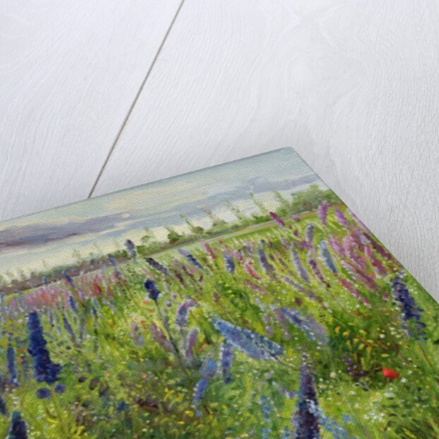 Delphiniums and Emerging Sun, 1991 by Timothy Easton