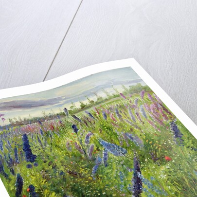 Delphiniums and Emerging Sun, 1991 by Timothy Easton