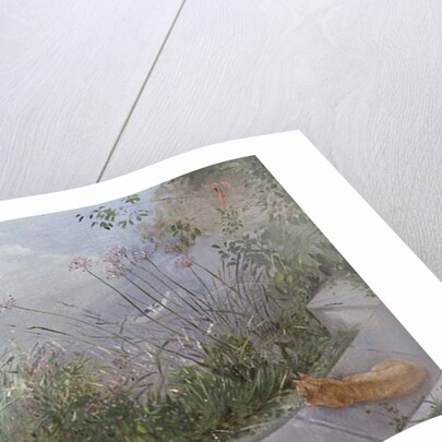 Vantage point, 1989 by Timothy Easton