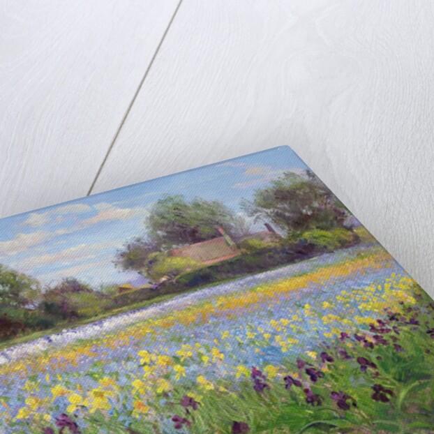 Farmstead and Iris Field, 1992 by Timothy Easton