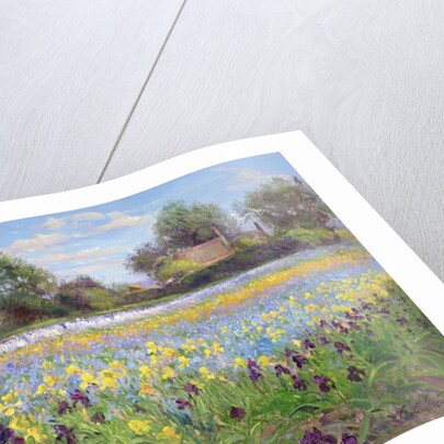 Farmstead and Iris Field, 1992 by Timothy Easton