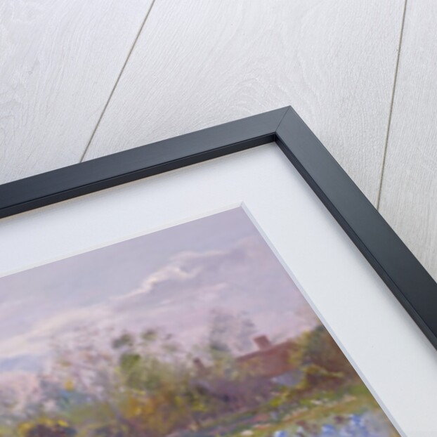 Iris Field in the Evening Light, 1993 by Timothy Easton