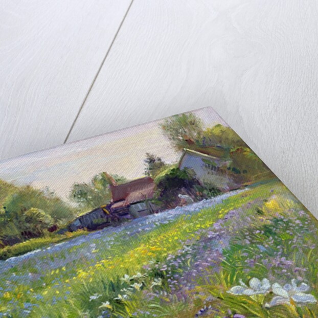 Dwarf Irises and Cottage, 1993 by Timothy Easton