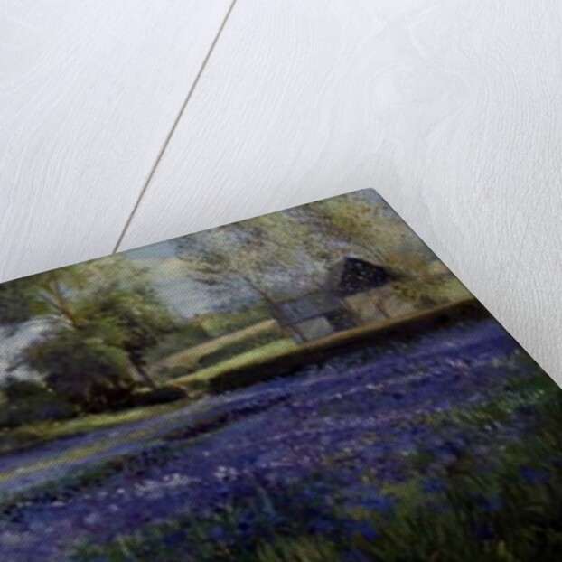 Dappled Light on the Iris Field, 1991 by Timothy Easton