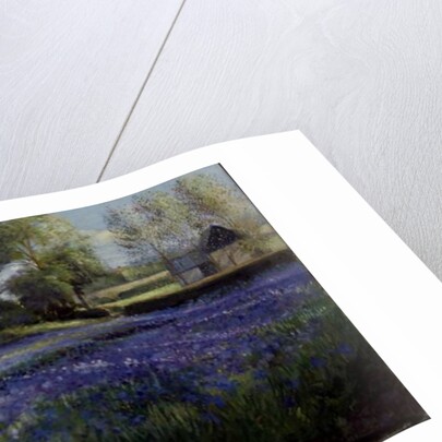 Dappled Light on the Iris Field, 1991 by Timothy Easton