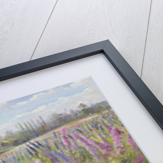 Delphiniums and Poppies, 1991 by Timothy Easton