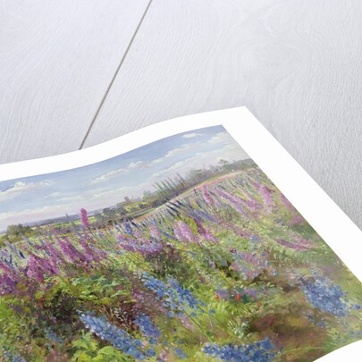 Delphiniums and Poppies, 1991 by Timothy Easton