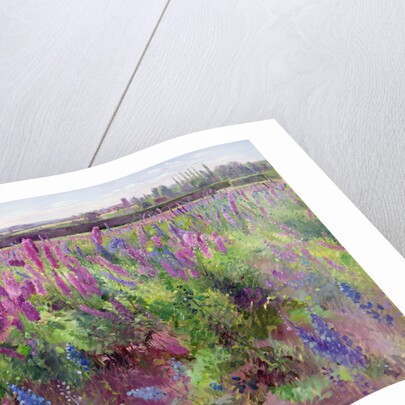 The Delphinium Field, 1991 by Timothy Easton