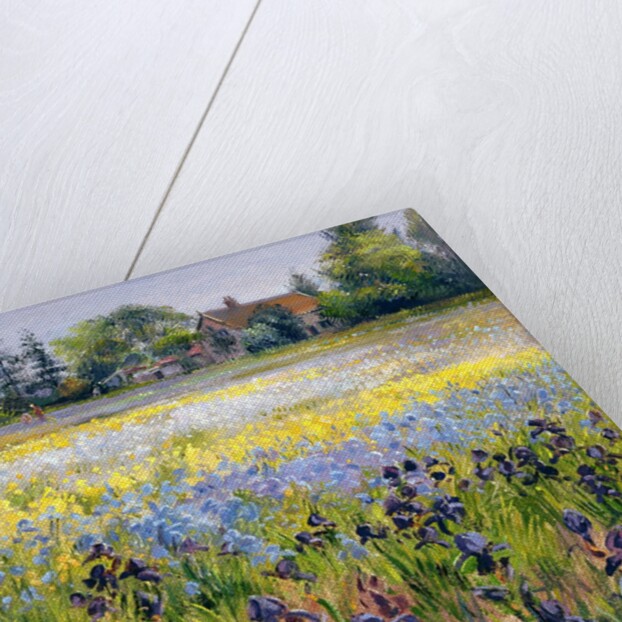 Irises and Two Fir Trees, 1993 by Timothy Easton