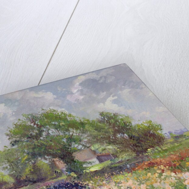 White Barn and Iris Field, 1992 by Timothy Easton