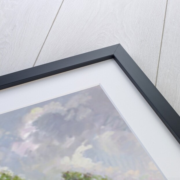 White Barn and Iris Field, 1992 by Timothy Easton